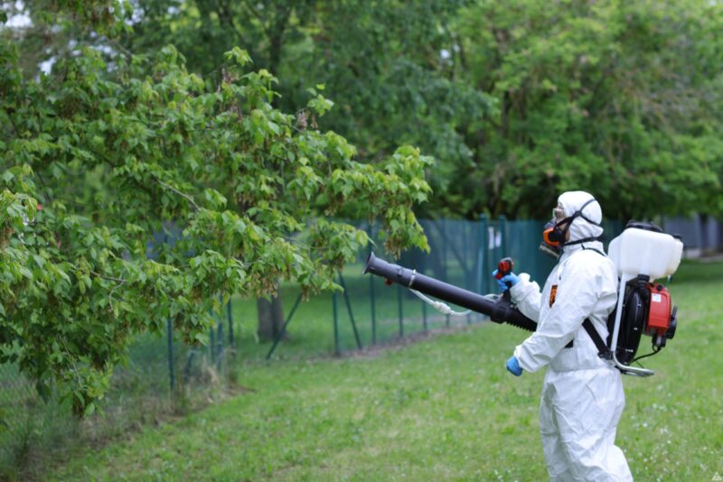 Manutenzione e pulizia giardini