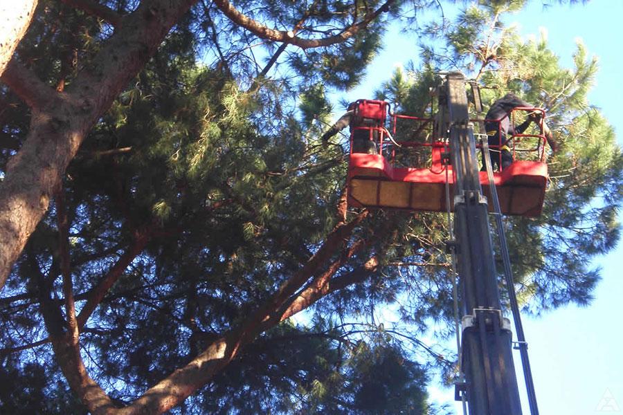 ambienta cura verde aree private e pubbliche a Bologna e provincia